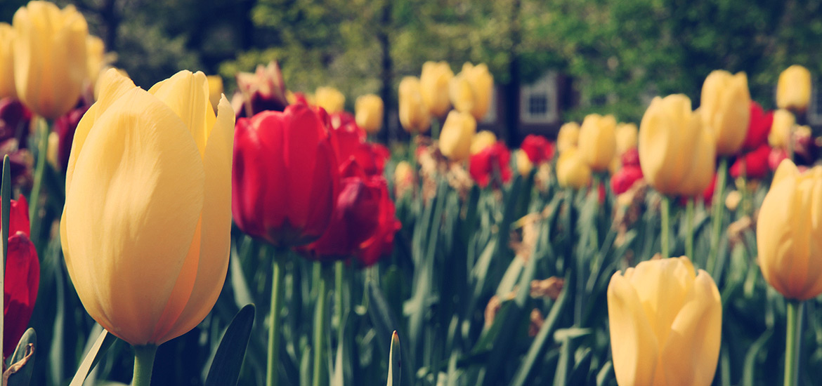 如何购买不翻车的免费DDOS攻击测试工具